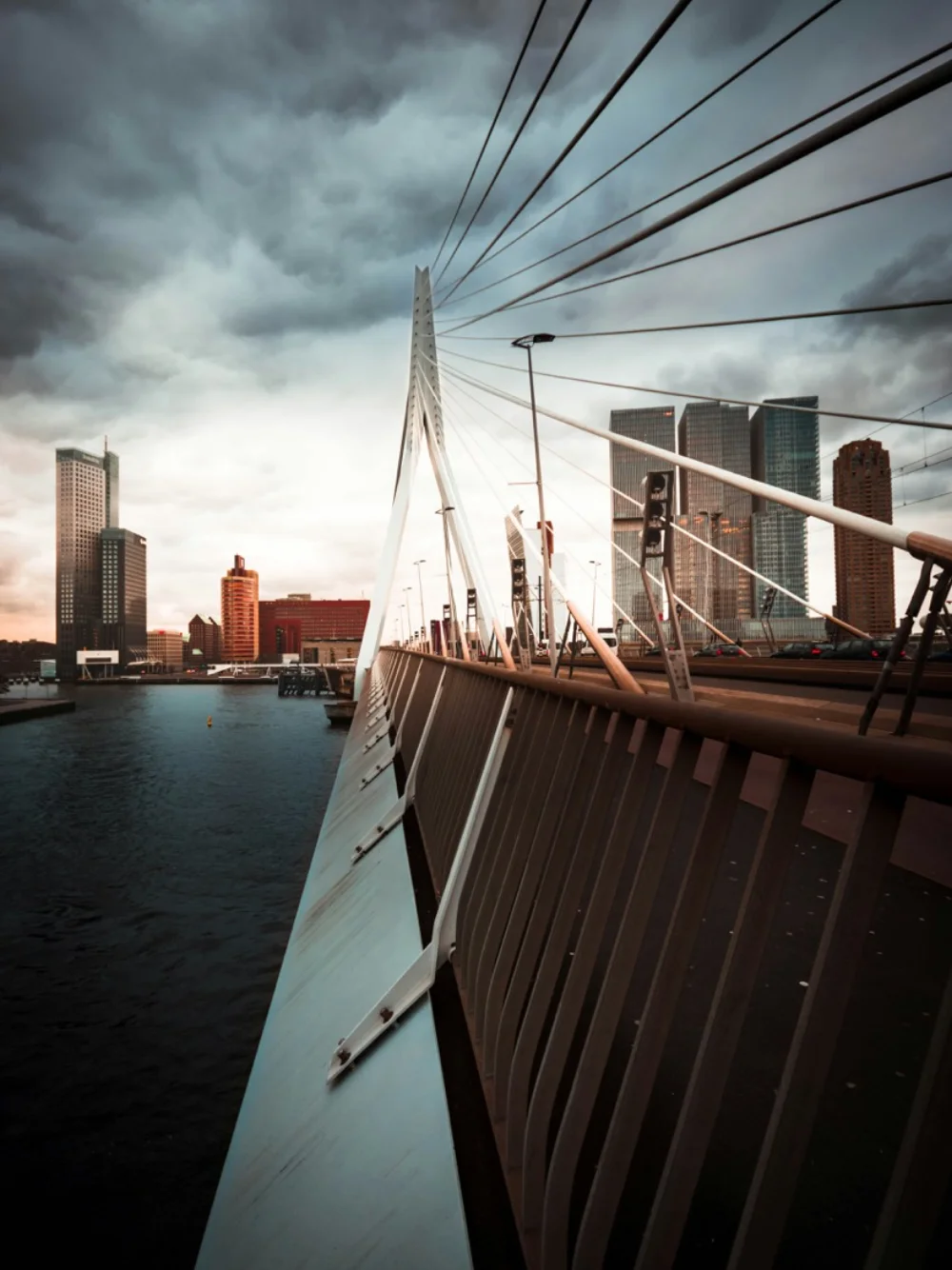 De Erasmusbrug met de skyline van Rotterdam.
